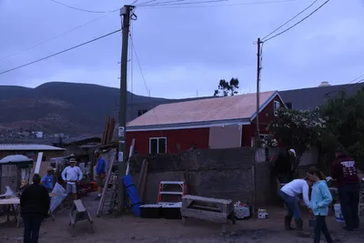 DSC_1246 (Large).JPG